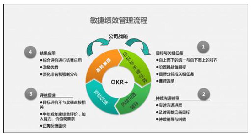 如何构建高效的组织架构设计